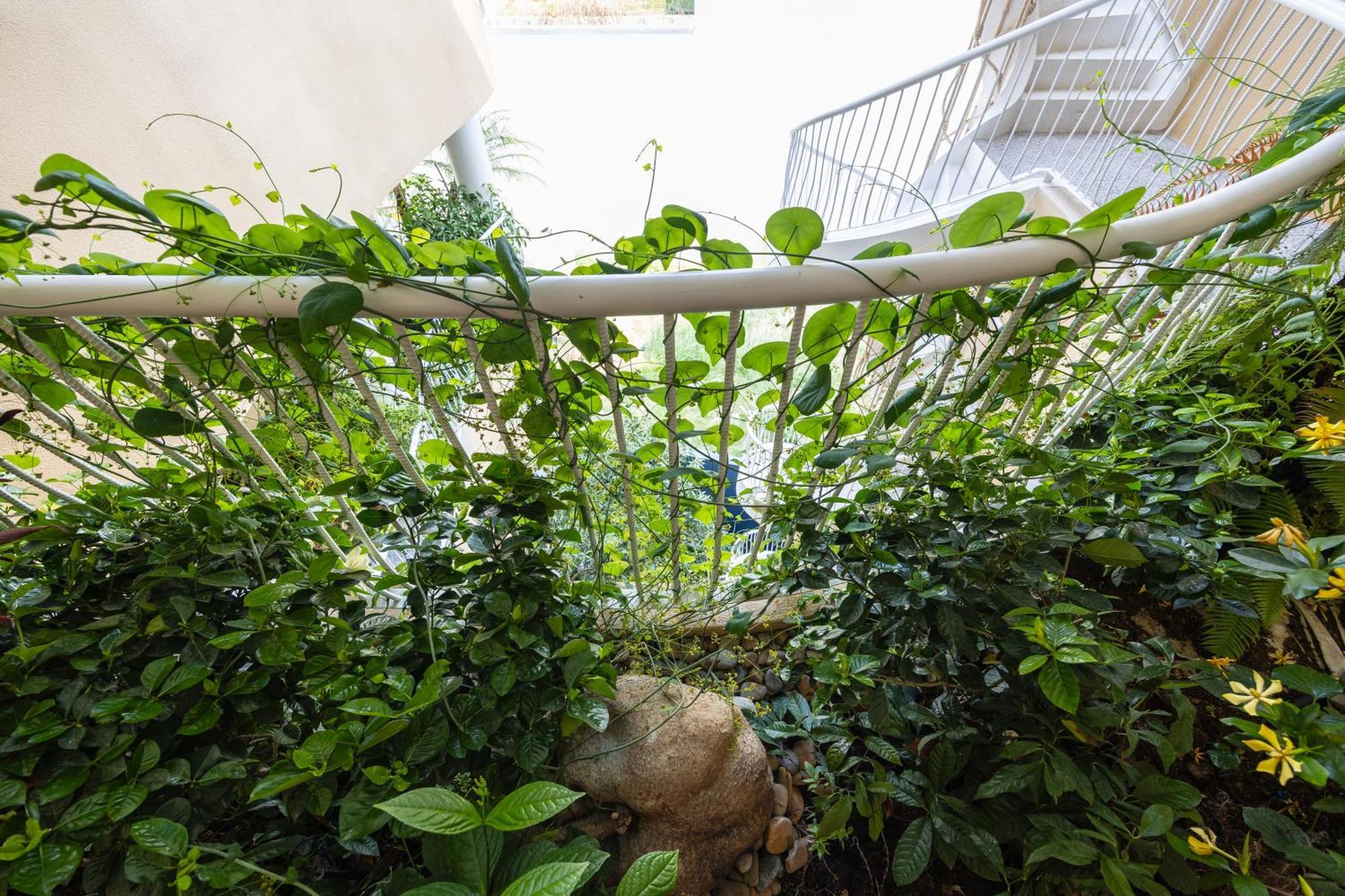 Saha Casa Boutique Hotel Đà Nẵng Extérieur photo